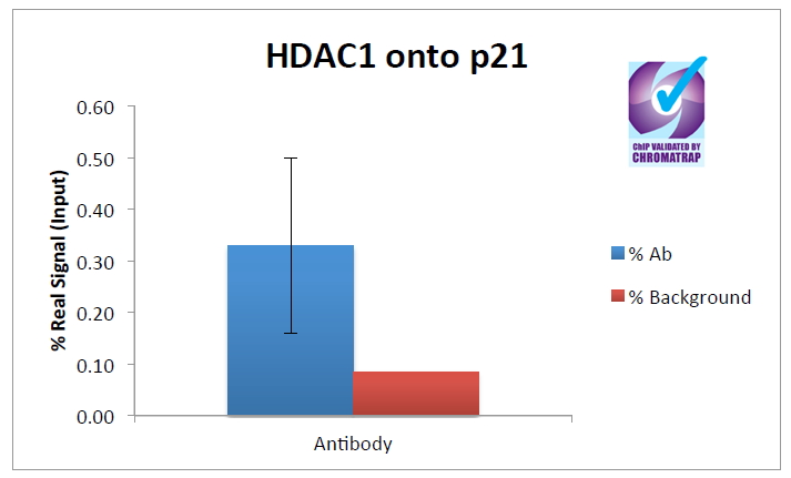 Goat Anti-Hdac1 (aa385-396) Antibody