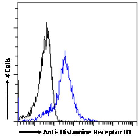 Goat Anti-Histamine Receptor H1 (C Term) Antibody