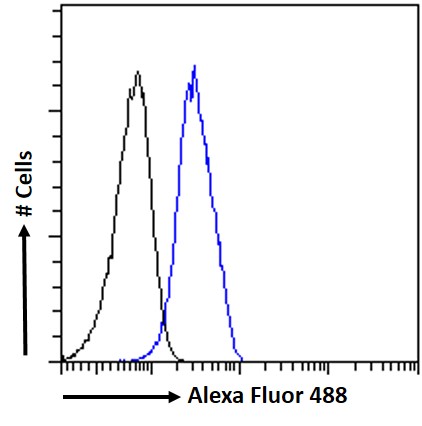 Goat Anti-HP alpha chain Antibody