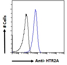 Goat Anti-HTR2A Antibody