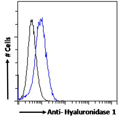 Goat Anti-Hyaluronidase 1 Antibody