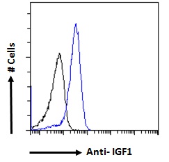 Goat Anti-IGF1 Antibody
