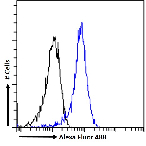 Goat Anti-ITGB2 / LFA-1 (aa86-99) Antibody