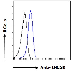 Goat Anti-LHCGR Antibody