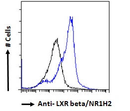 Goat Anti-LXR beta / NR1H2 Antibody