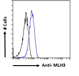 Goat Anti-MLH3 Antibody