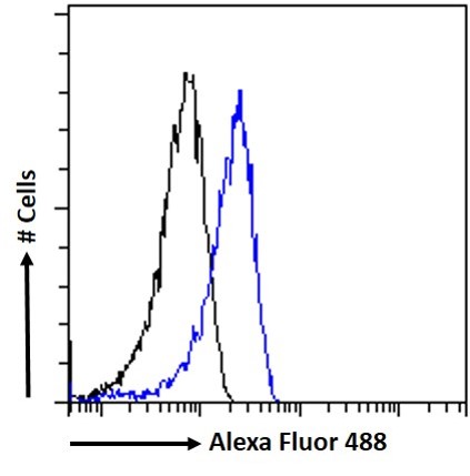 Goat Anti-MS2  / ADAM8 / CD156 Antibody