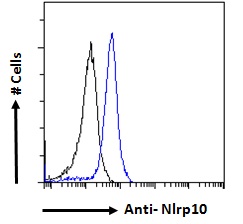 Goat Anti-Nalp10 / Nlrp10 (mouse) Antibody