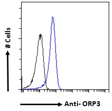 Goat Anti-ORP3 Antibody