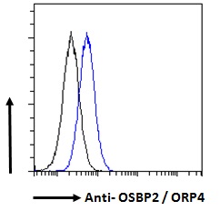 Goat Anti-OSBP2 / ORP4 Antibody