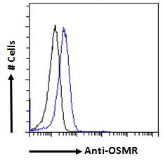 Goat Anti-OSMR Antibody