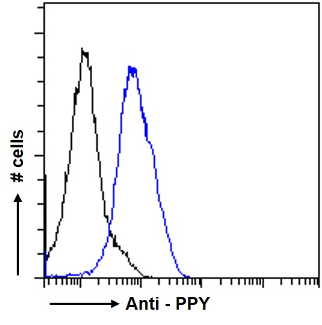 Goat Anti-Pancreatic Polypeptide / PPY Antibody