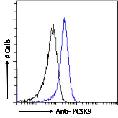 Goat Anti-PCSK9 (aa214-228) Antibody