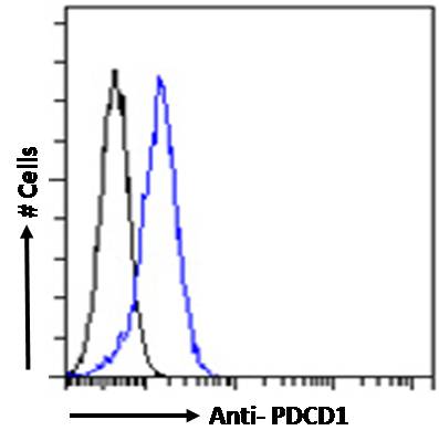Goat Anti-PDCD1 Antibody