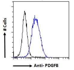 Goat Anti-PDGFB precursor Antibody