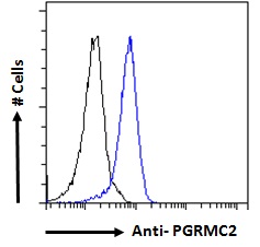 Goat Anti-PGRMC2 Antibody