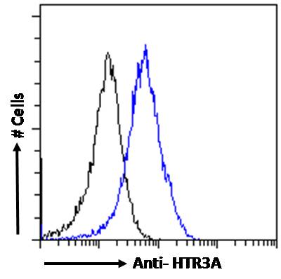 Goat Anti-Serotonin receptor 3A / HTR3A Antibody