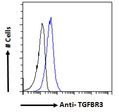Goat Anti-TGFBR3 Antibody