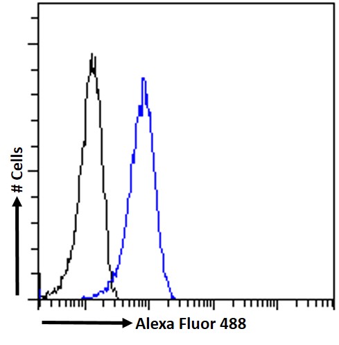 Goat Anti-TLR6 Antibody