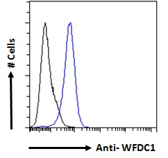 Goat Anti-WFDC1 / PS20 Antibody